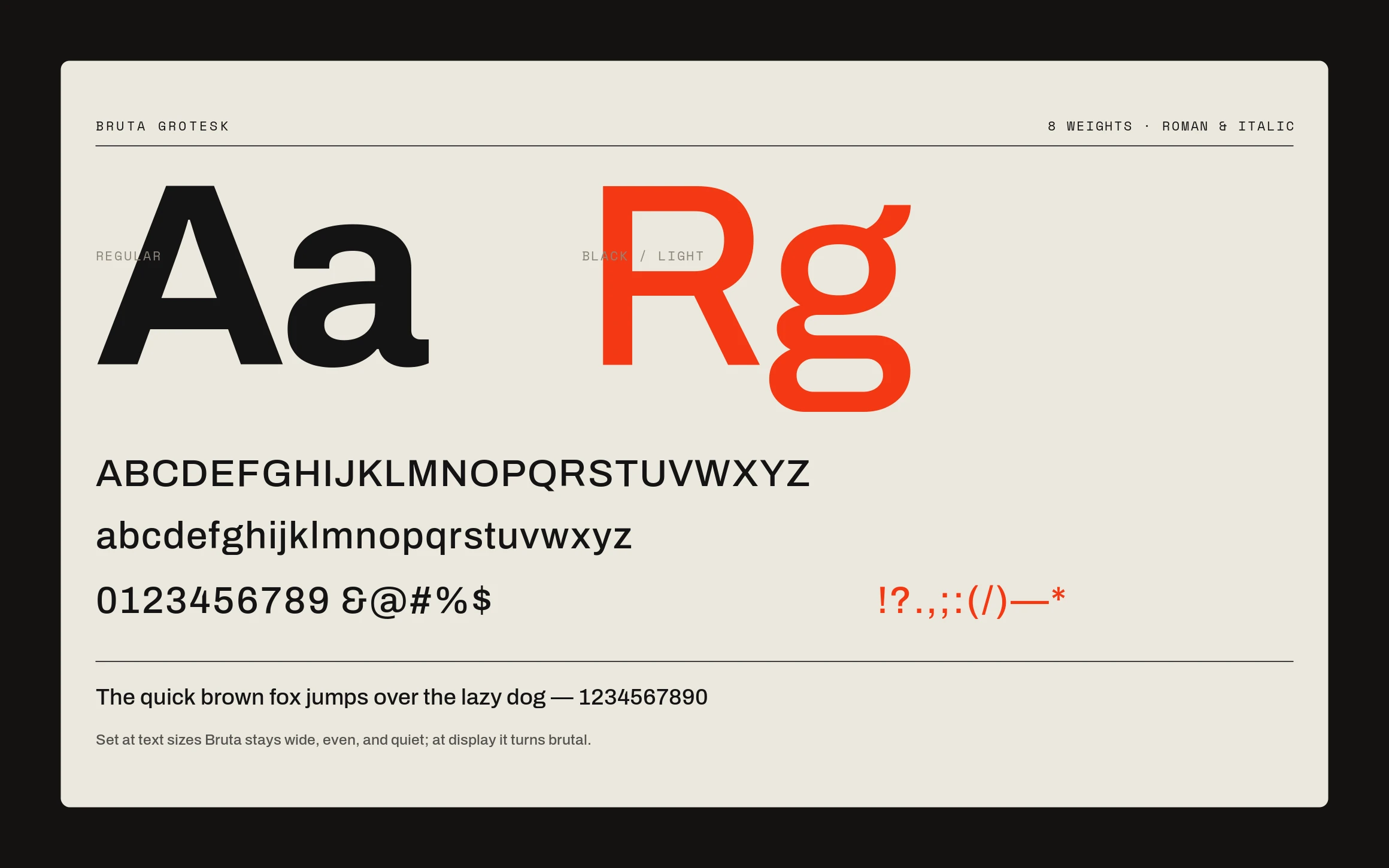 The typeface & specimen — panel
