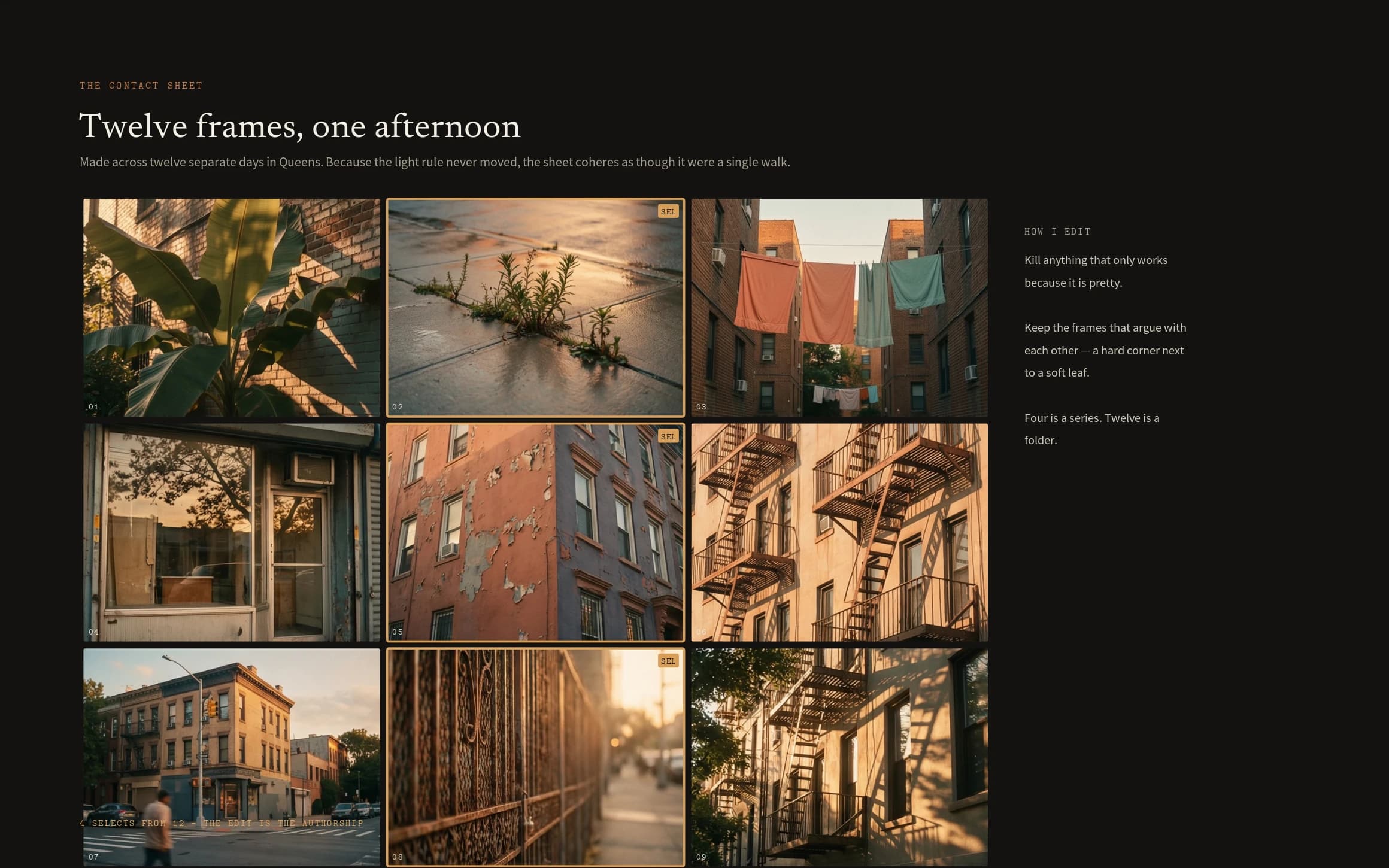 The direction & the contact sheet — panel