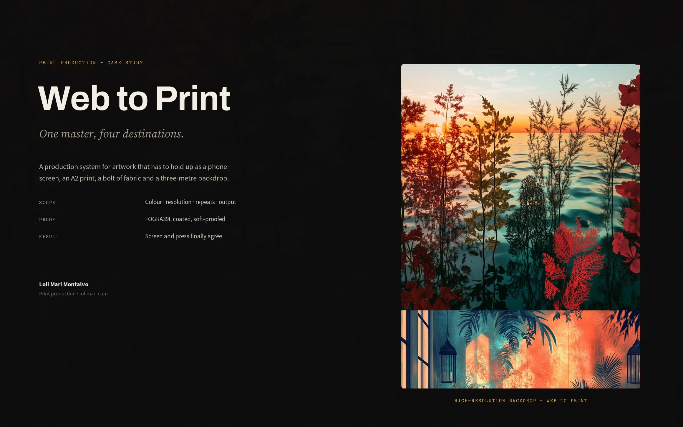 The system & the colour problem — full case study cover