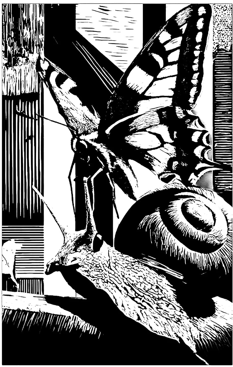 Linocut Menagerie — Snail & Butterfly