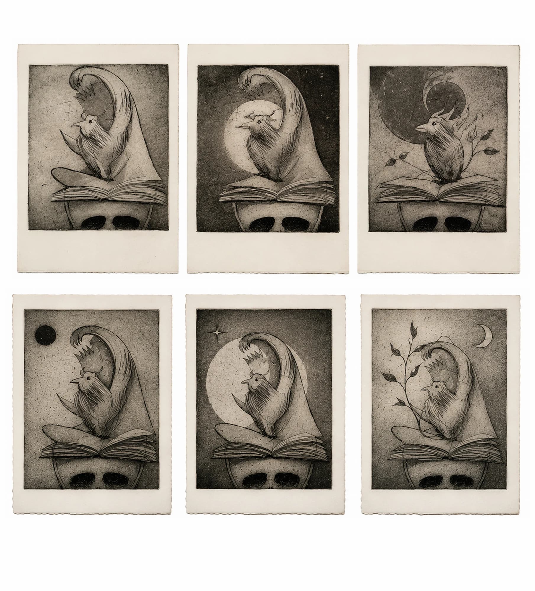 Whispers of the Unseen — The Rooster & the Book