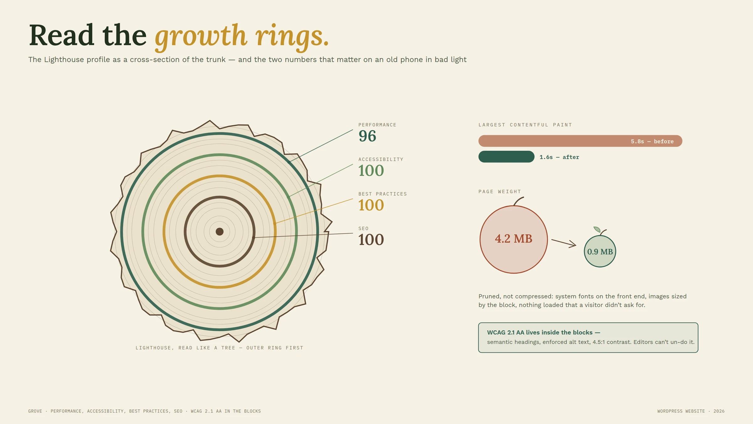The build, illustrated — Read the growth rings — Lighthouse