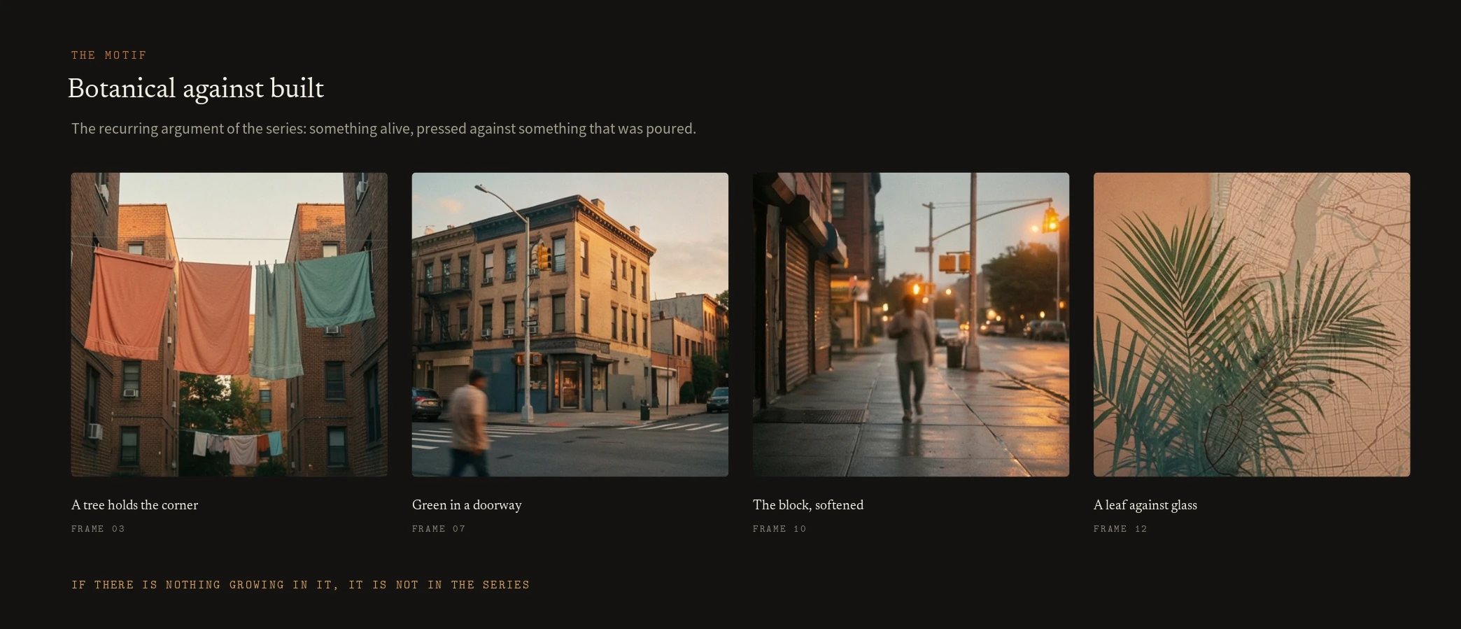 The spine, the motif & where it travels — panel